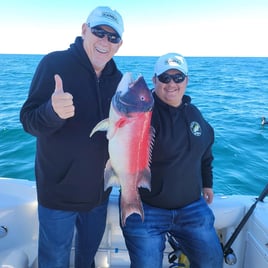 San Diego Fishing Fun