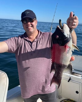 San Diego Fishing Fun