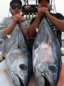 Offshore on the Fly SoCal