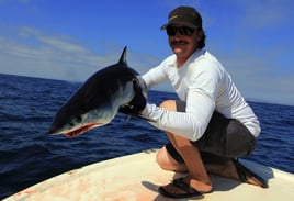 Mako Shark on the Fly