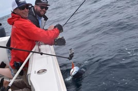 Mako Shark on the Fly