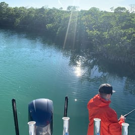 Reefs, Bays, or Backcountry