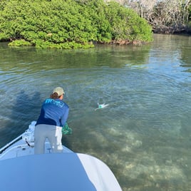 Reefs, Bays, or Backcountry