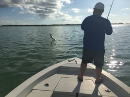 Key West Silver Kings and More