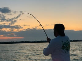 Key West Silver Kings and More