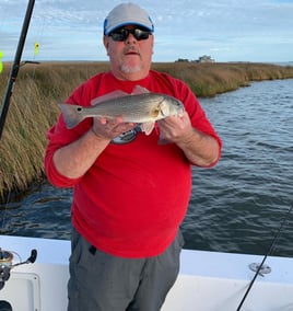 Redfish Fishing in Wanchese, North Carolina