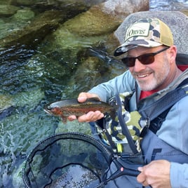 Kings Canyon Wade