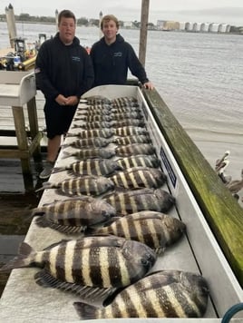 Sheepshead Fishing in Jacksonville, Florida