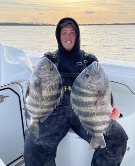 Sheepshead Fishing in Jacksonville, Florida