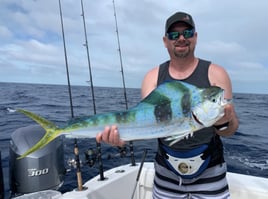 Mahi Mahi Fishing in Key West, Florida