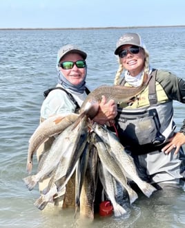 Redfish, Speckled Trout Fishing in Port O'Connor, Texas