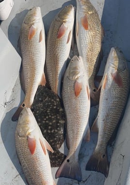 Flounder, Redfish Fishing in Port O'Connor, Texas