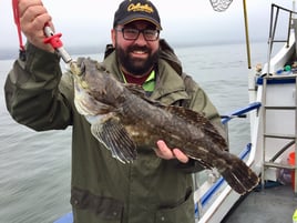 San Francisco Bay Premier Trip