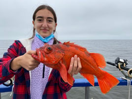 San Francisco Bay Premier Trip