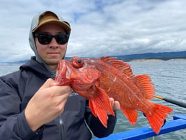 San Francisco Bay Premier Trip