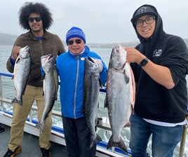 San Francisco Bay Premier Trip