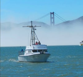 San Francisco Bay Premier Trip