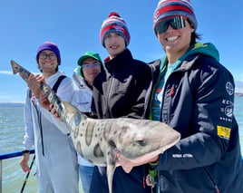 Leopard Shark Fishing in San Francisco, California