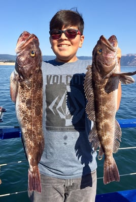 San Francisco Bay Premier Trip