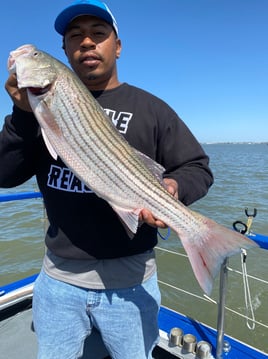 San Francisco Bay Premier Trip