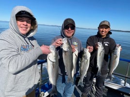 San Francisco Bay Premier Trip