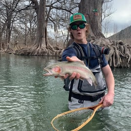 Trout on the Fly