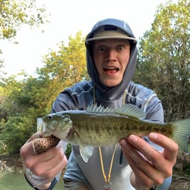 Texas Bass and Drum on the Fly