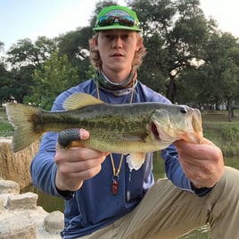 Texas Bass and Drum on the Fly