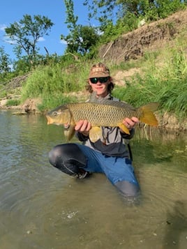 Carp and Buffalo on the Fly