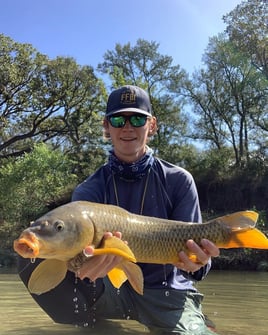 Carp and Buffalo on the Fly