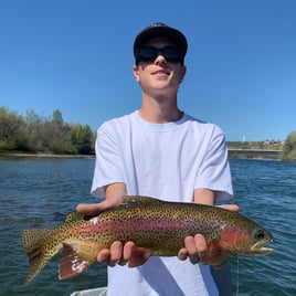 Fly Fishing the Lower Sacramento