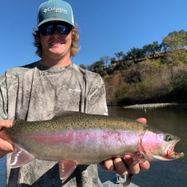 Fly Fishing the Lower Sacramento