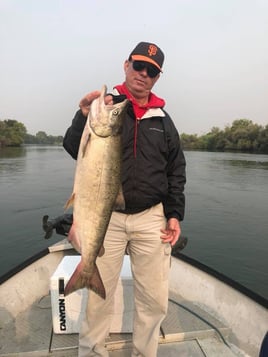 Fly Fishing the Trinity and Sacramento Rivers