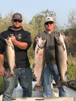 Fly Fishing the Trinity and Sacramento Rivers