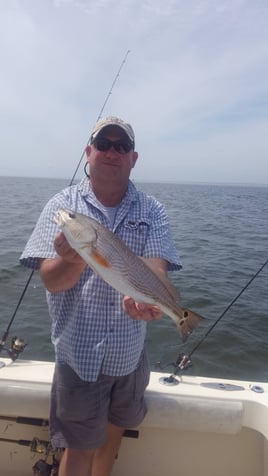 Redfish Fishing in Hatteras, North Carolina