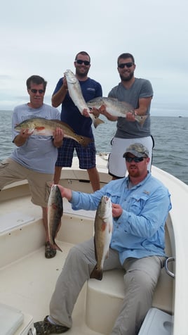 Redfish Fishing in Hatteras, North Carolina