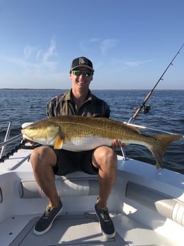 Redfish Fishing in New Bern, North Carolina