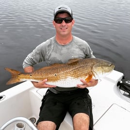 Redfish Fishing in New Bern, North Carolina