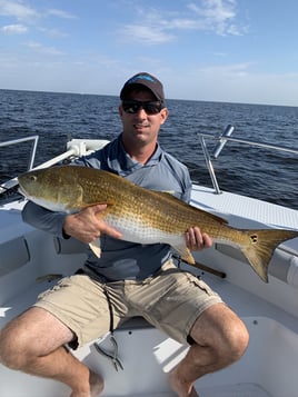 Redfish Fishing in New Bern, North Carolina