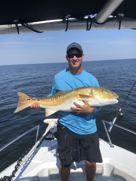 Redfish Fishing in New Bern, North Carolina