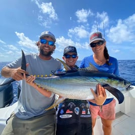 Yellowfin Tuna Fishing in Boothville-Venice, Louisiana