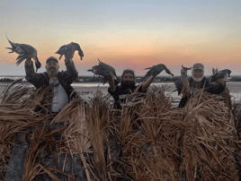 South Texas Duck Hunts