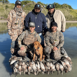 South Texas Duck Hunts