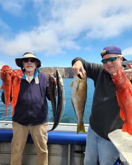 Santa Cruz Island Adventure