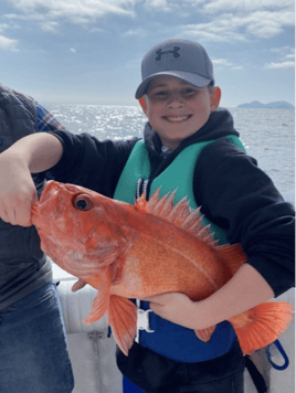 Local Rockfish and Yellowtail