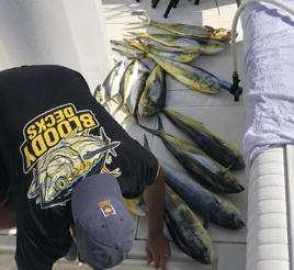 Offshore Tuna Chase