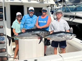 Offshore Tuna Chase