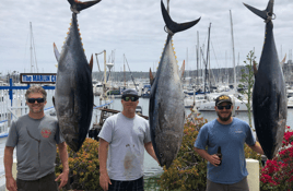 Offshore Tuna Chase