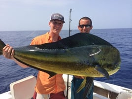 Mahi Mahi Fishing in Key West, Florida