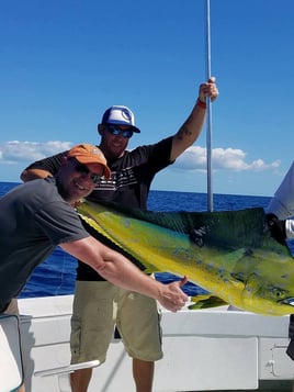 Mahi Mahi Fishing in Key West, Florida